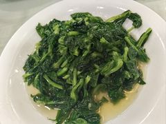 白酒有机豆苗-瑞福园联谊餐室(茂名南路店)