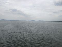 -古尚锦酒楼·水上餐厅
