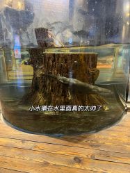 -Zoolung Zoolung动物主题公园(海信广场店)