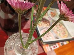 -百特喜·意大利餐厅(万达常德店)