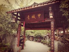 -青城甲(青城山店)