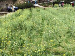 -韶山毛泽东同志故居