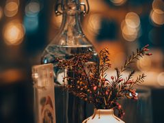 -春树下·树屋花房西餐厅(罍街AS1980店)