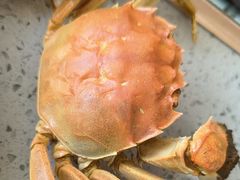 -仙螺岛海鲜自助餐厅(总店)