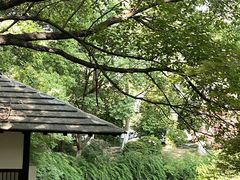 -新洲生态园