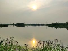 -蒲河岛湿地公园