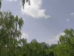 -玲珑塔公园
