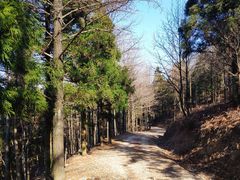-四明山国家森林公园