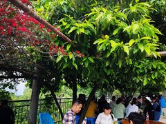 -金水泊山庄·花椒鸡(铁山坪店)