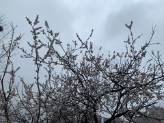 -BUND·FIVE外滩5号(天际店)