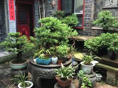 -老张烤羊(王哥庄店)