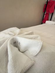 -Fundi张玉珊修身堂·indiba·BTL科技瘦身