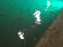 -宝丽金大酒店·洗浴中心