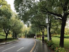 -中国移动南方基地