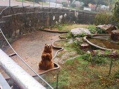 -无锡动物园·太湖欢乐园