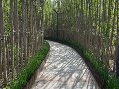 -天津东丽湖风景区