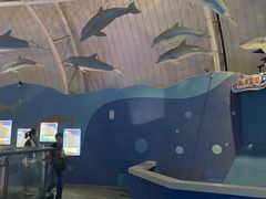 -烟台海昌鲸鲨海洋公园