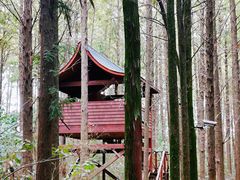 -同里国家湿地公园