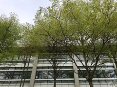 -广东外语外贸大学(白云山校区)