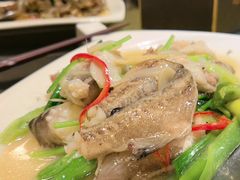 豆腐鱼-达濠炒饭·潮汕味道