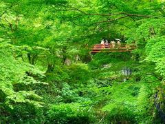 -三千院