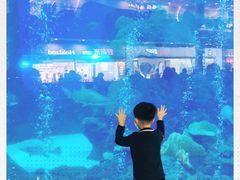 -成都浩海立方海洋公园