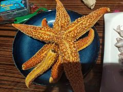 -蚝堡海鲜·威海菜·海肠捞饭·烧烤·亚洲吃蚝公司(幸福门店)