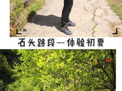 -灵山