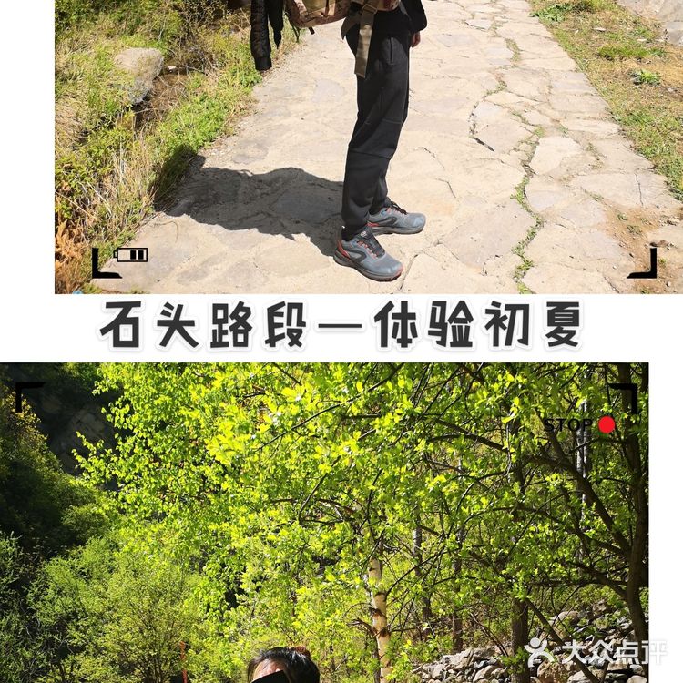 带着毛孩子🐶去灵山露营⛺️体验季节变化吧[加油]