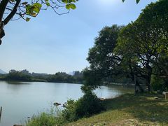 -松山湖南湖湾露营营地