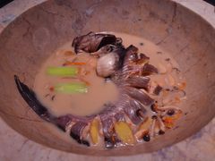 -云海肴云南菜·蒸汽石锅鱼(青岛万象城店)