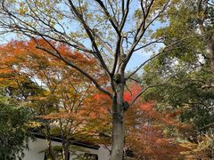 -西湖游船