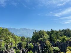 -张关合渣(朱家坳店)