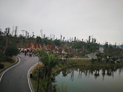 -枫香湖儿童公园