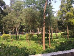 -白云山风景名胜区