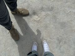 -东台吉乃尔湖