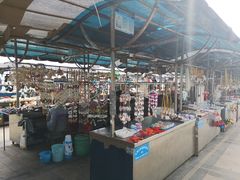 -日照灯塔风景区