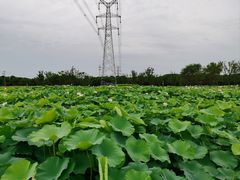 -梁鸿国家湿地公园