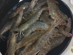 -王潮活海鲜自助·蒸汽海鲜