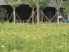 -北沙滩(地铁站)