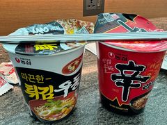 -首尔仁川机场ASIANA LOUNGE贵宾候机室(Incheon)