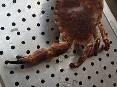 -雅逸居海鲜小厨