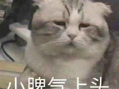 -小龙大肉面馆