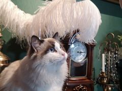 -NINES推理馆(曲江公馆店)