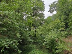 -素山寺森林公园