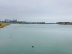 -贡湖湾湿地公园