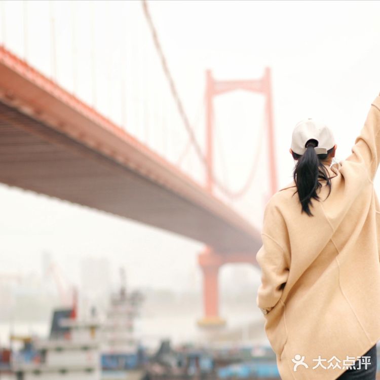 鹦鹉洲长江大桥