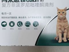 -申普宠物医院·眼科·心内科·影像科(普陀分院)