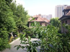 -星巴克臻选(思南公馆店)