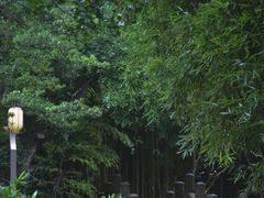 -望江楼公园